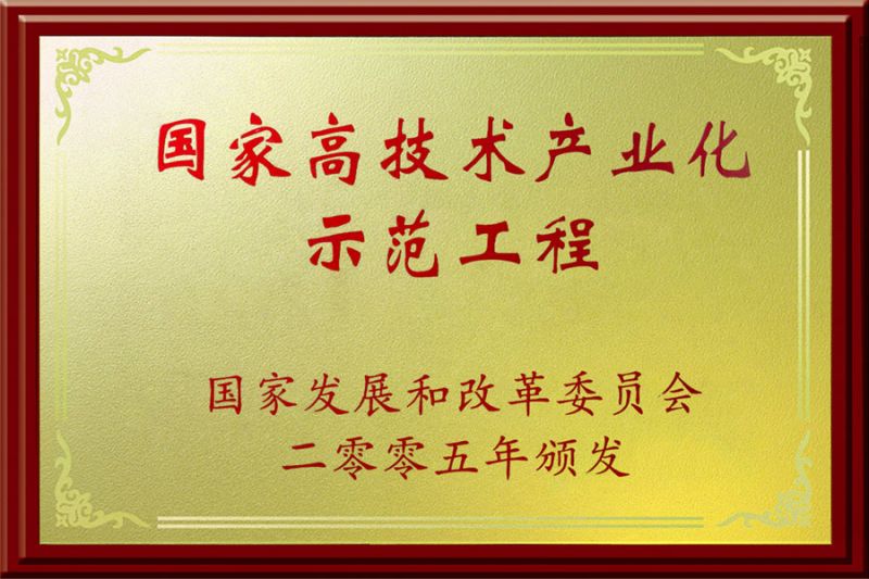 國(guó)家高技術(shù)產(chǎn)業(yè)化示范工程